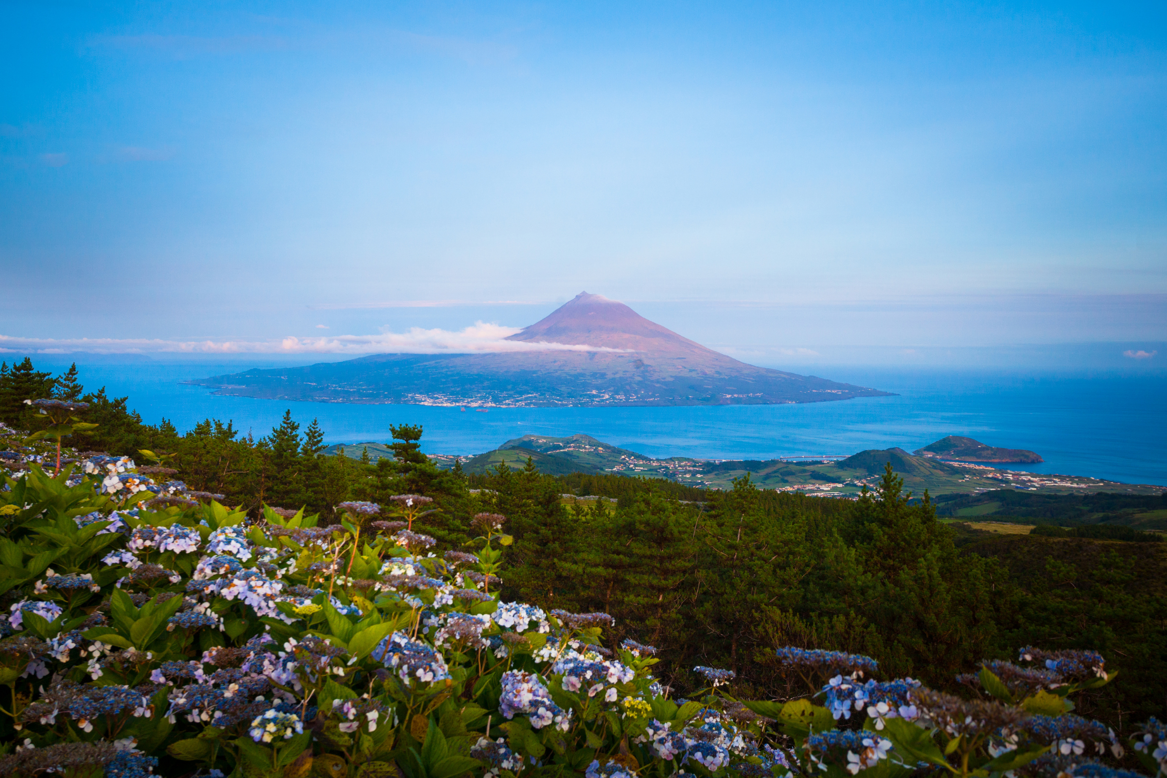 139 pico island.webp